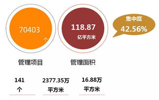 企業(yè)管理服務行業(yè)動態(tài) 數字化轉型與創(chuàng)新管理趨勢